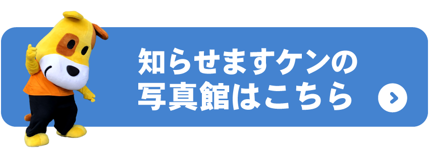 写真館リンク