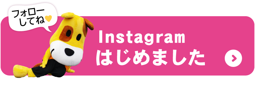 インスタグラムはこちら