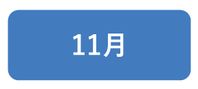 11b