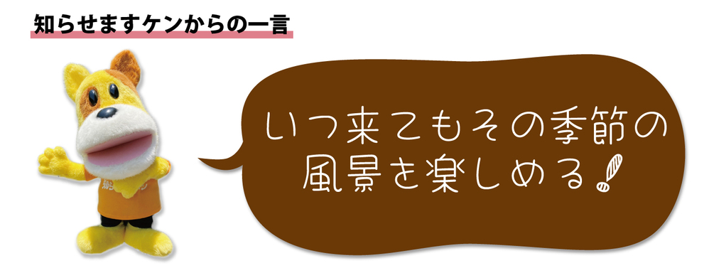 犬の一言2402