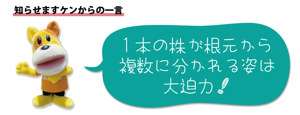 犬の一言2403