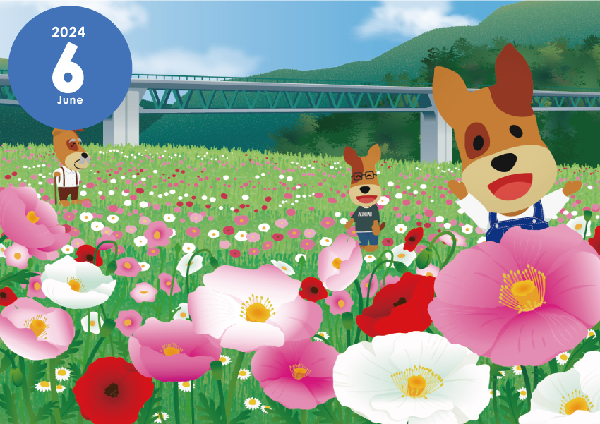 24年6月_東三瓶フラワーバレー