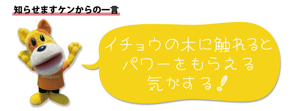 犬の一言2410