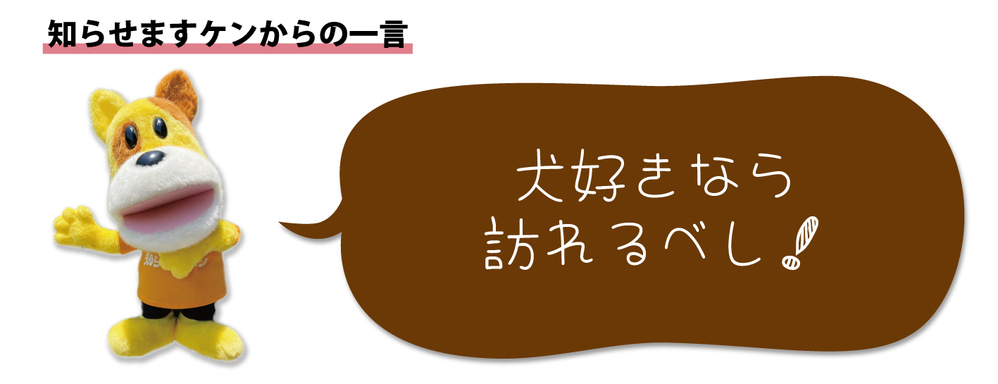 犬の一言2411