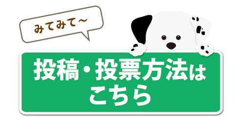 投稿投票方法はこちら
