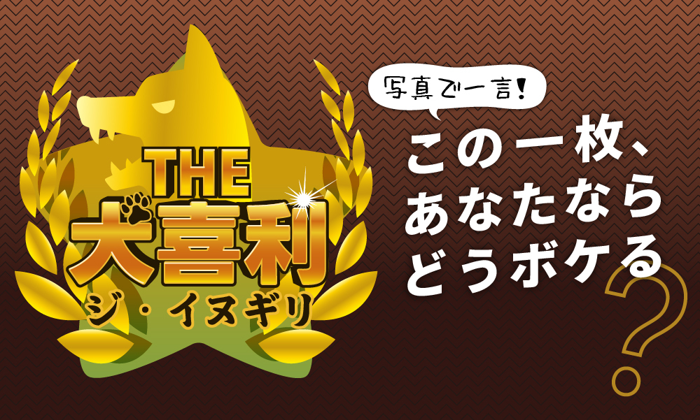 THE犬喜利