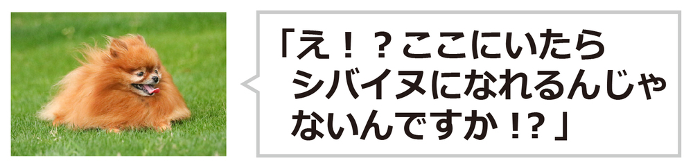 一言の例