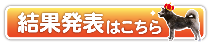 結果発表はこちら