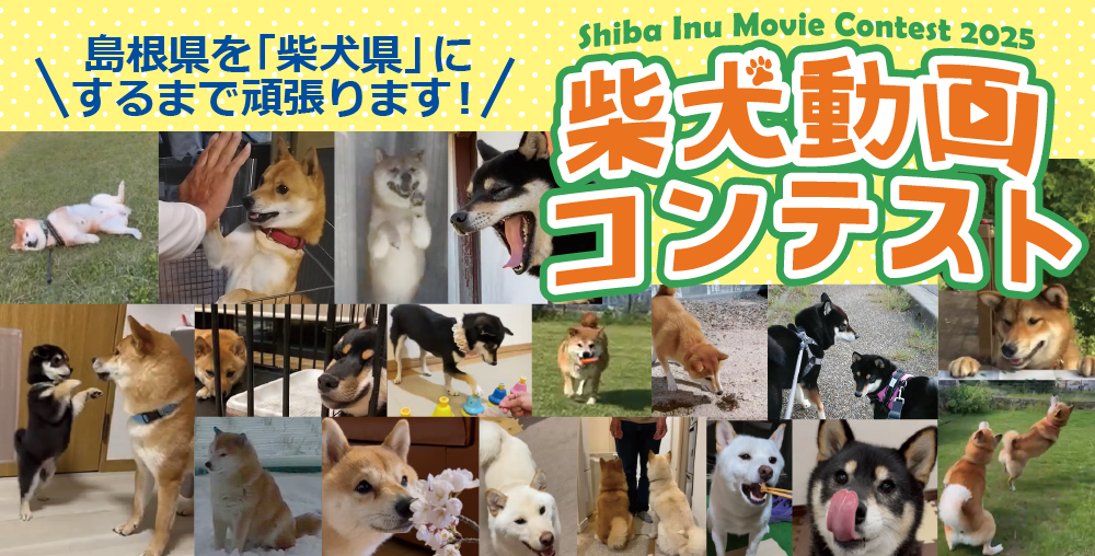 柴犬動画コンテスト2025