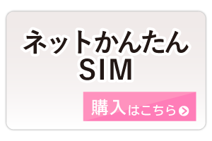 ネットかんたんSIM