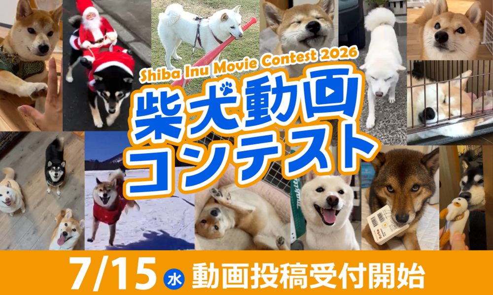 柴犬動画コンテスト2026(受付開始)